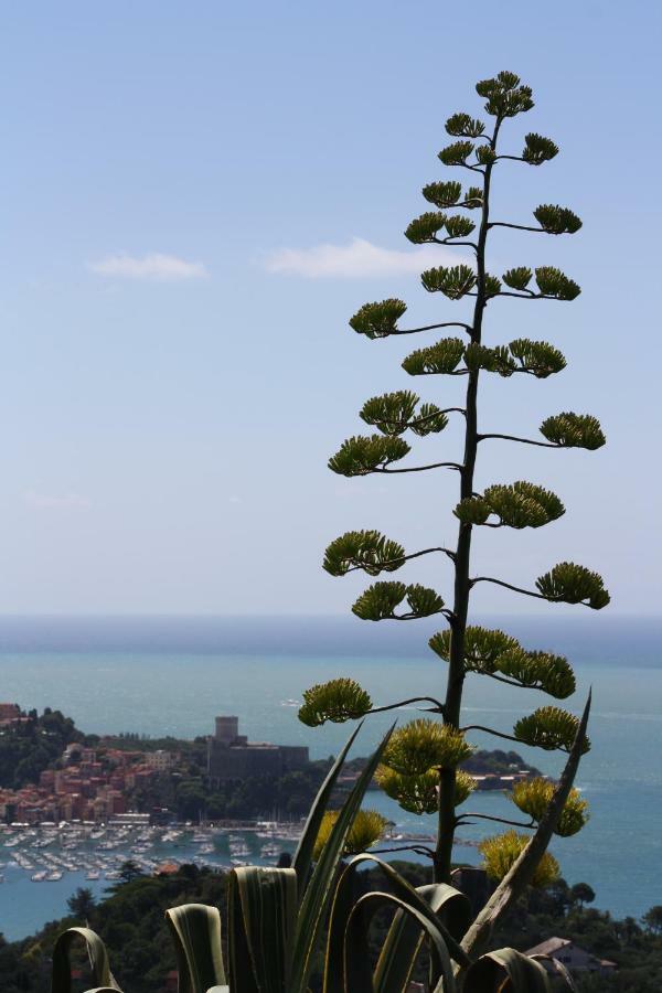 הוילה Agave Di לריצ'י מראה חיצוני תמונה
