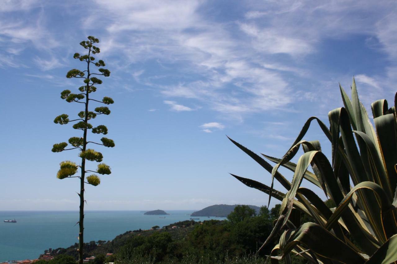 הוילה Agave Di לריצ'י מראה חיצוני תמונה